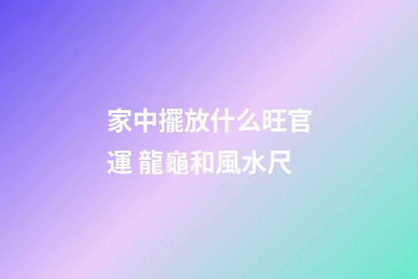 家中擺放什么旺官運 龍龜和風水尺